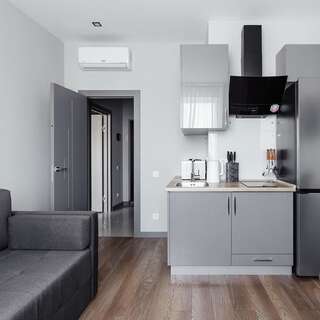 Апартаменты Grey Apartment Одесса Апартаменты с 1 спальней-7